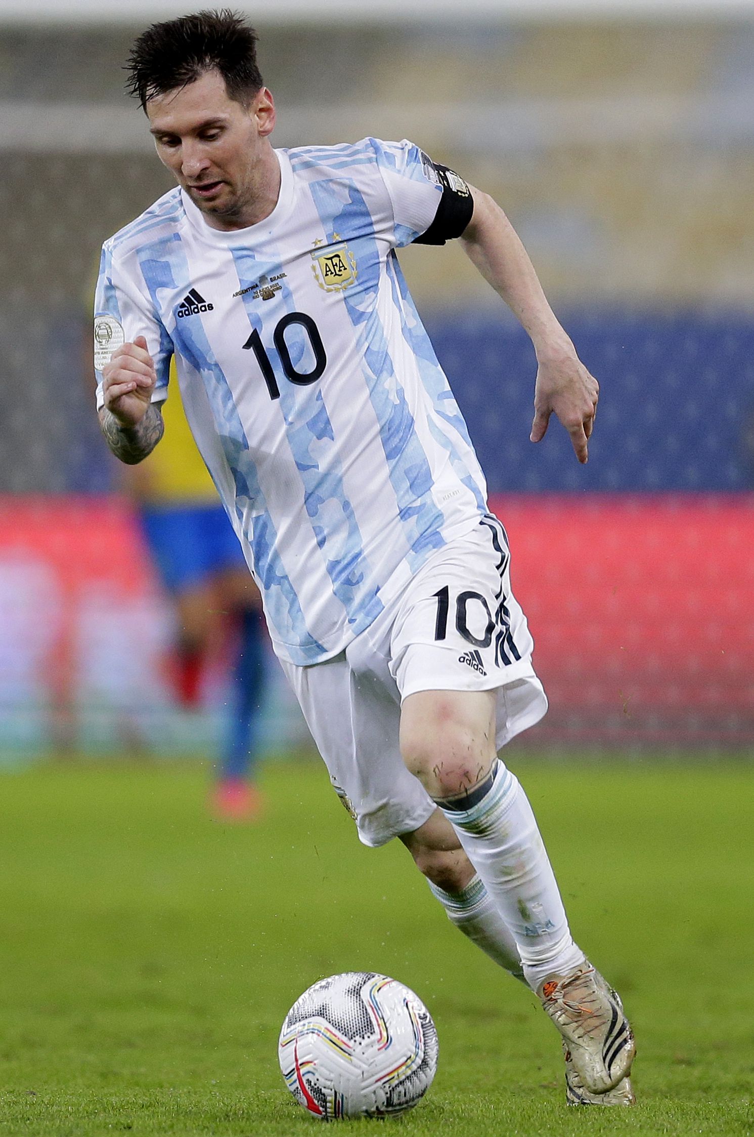 届世界泳联 届世界泳联