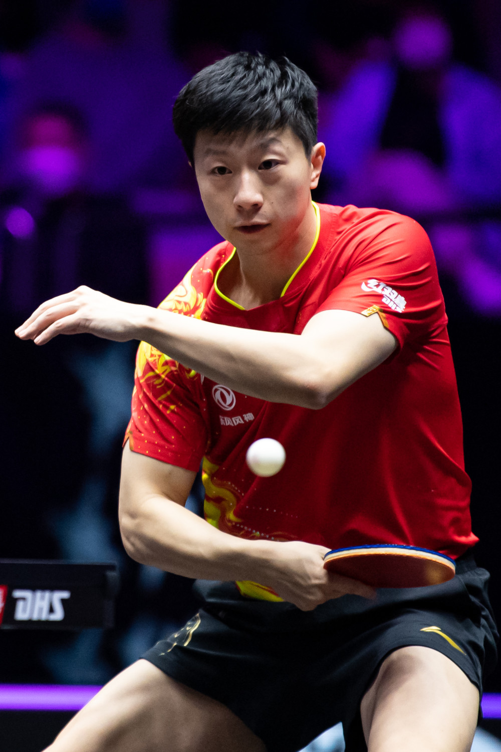 比赛场地 比赛场地